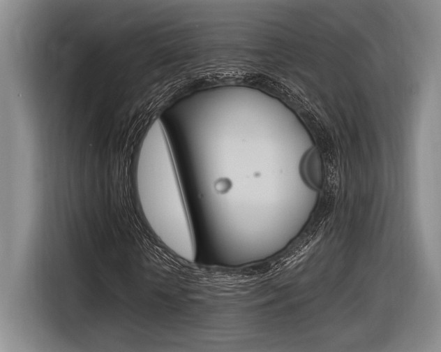 X0000116620818200912110939