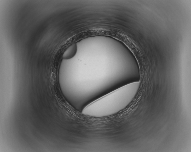X0000116620821200912110939