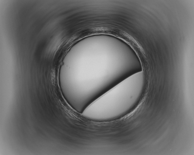 X0000116620825200912110939