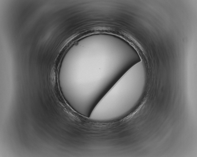 X0000116620829200912110939