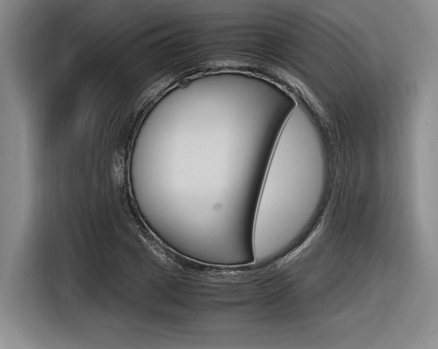 X0000116620833200912110939