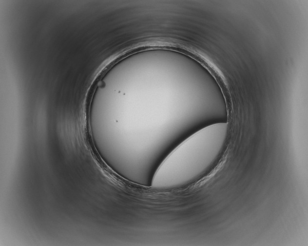 X0000116620837200912110939