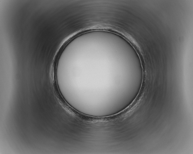 X0000116620838200912110939