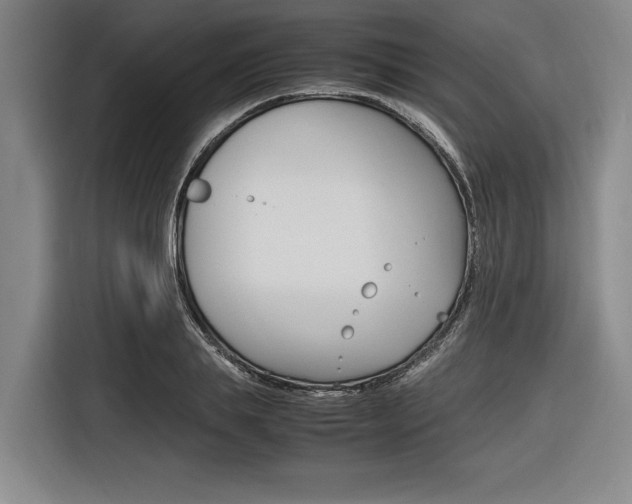 X0000116620839200912110939