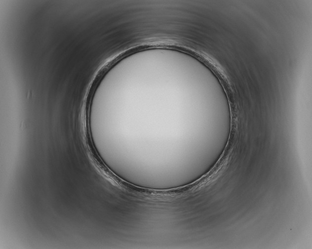 X0000116620840200912110939