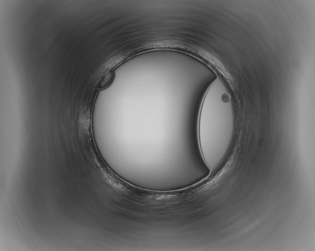 X0000116620841200912110939