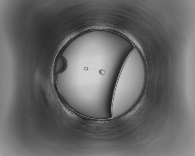 X0000116620845200912110939