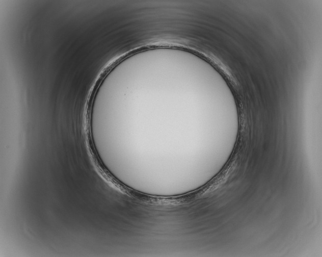 X0000116620848200912110939