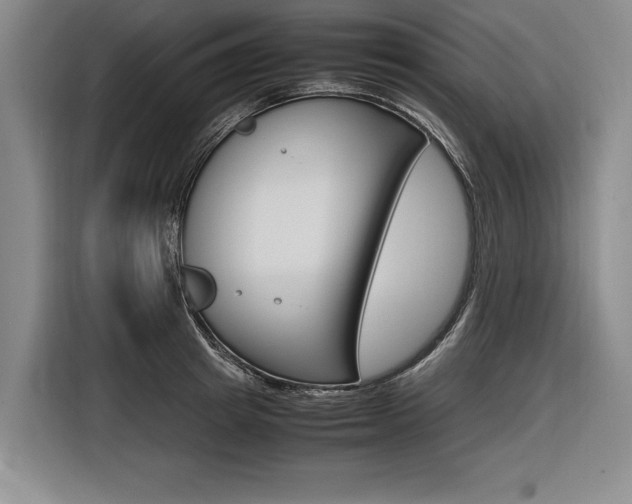 X0000116620849200912110939