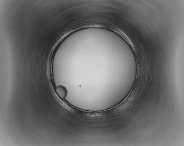 X0000116620851200912110939