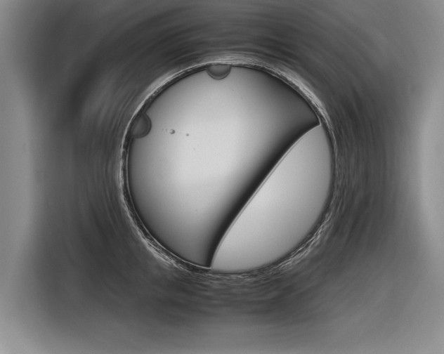 X0000116620853200912110939