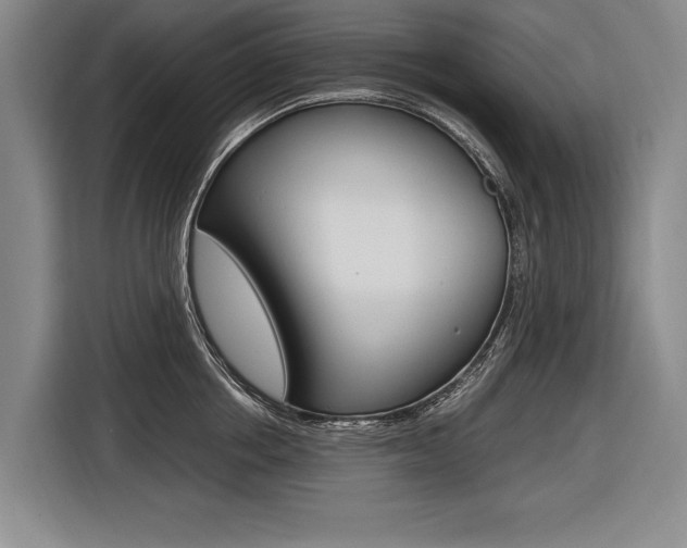X0000116620858200912110939