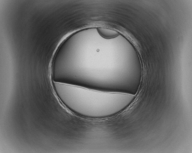 X0000116620862200912110939