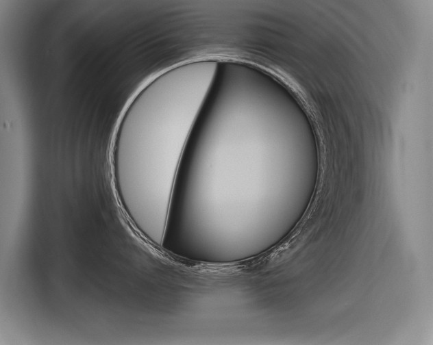 X0000116620864200912110939