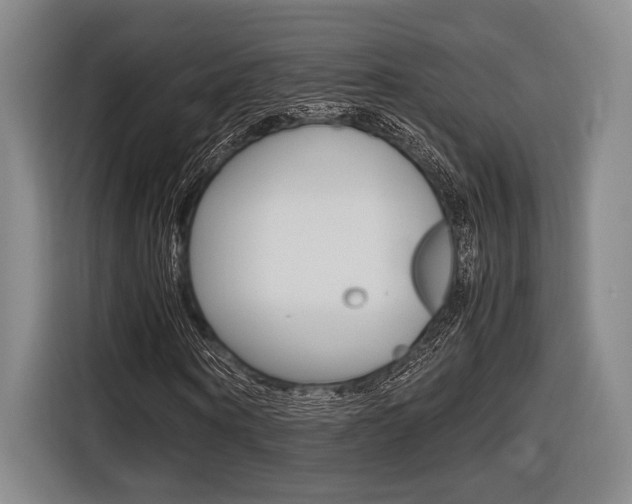 X0000116620866200912110939