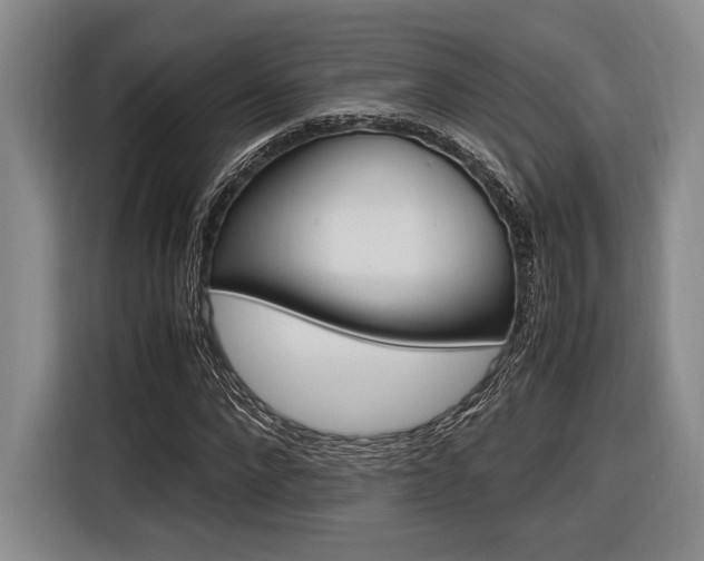 X0000116620872200912110939