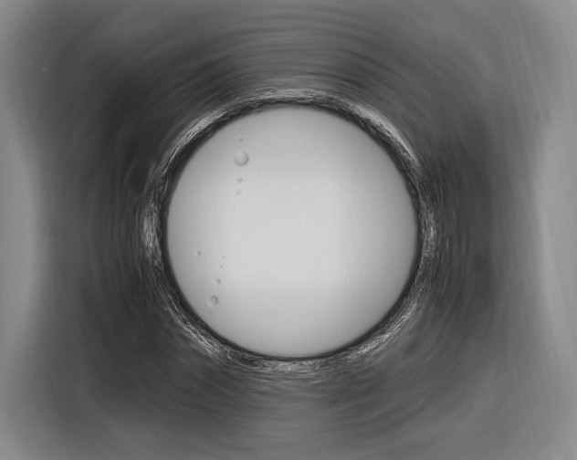 X0000116620874200912110939