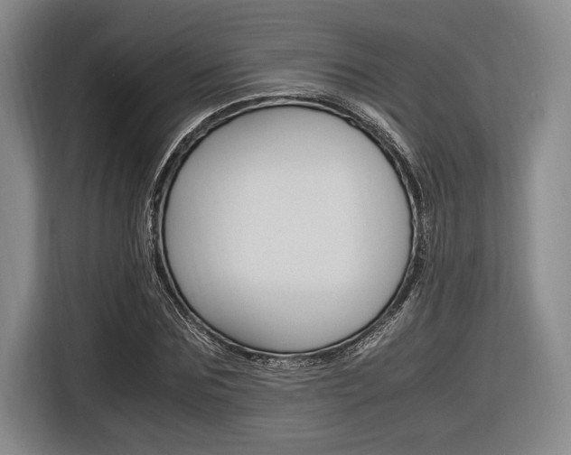 X0000116620875200912110939