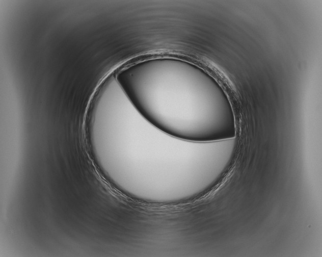 X0000116620876200912110939