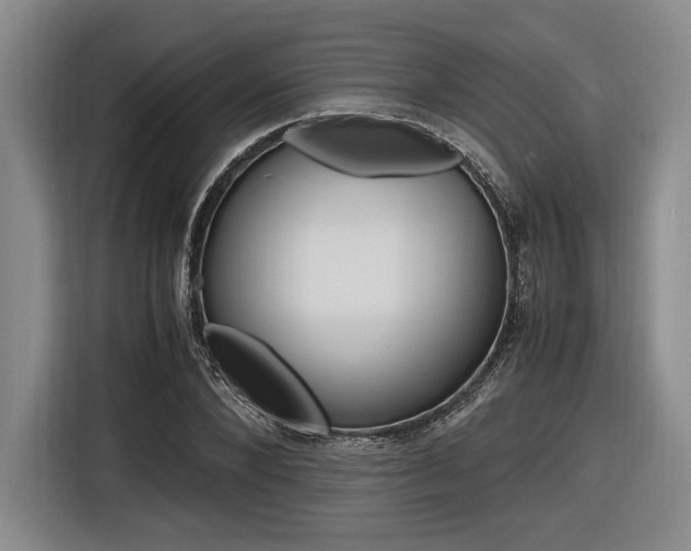 X0000116620880200912110939