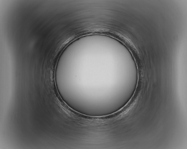 X0000116620881200912110939