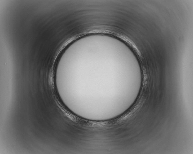 X0000116620882200912110938
