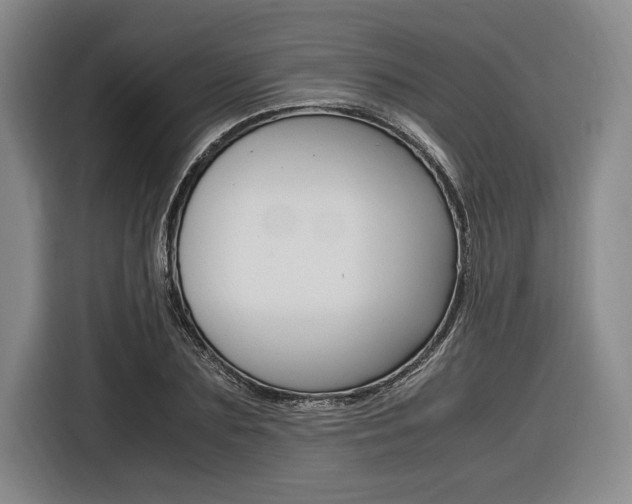 X0000116620883200912110938