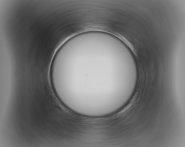 X0000116620885200912110938