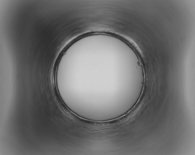 X0000116620887200912110938