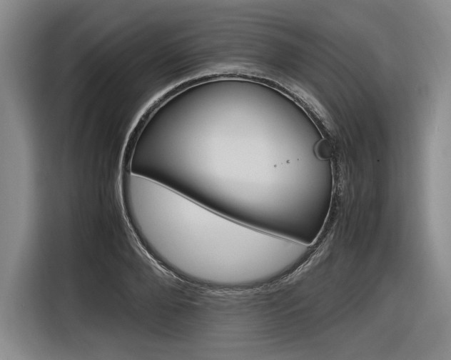 X0000116620888200912110938