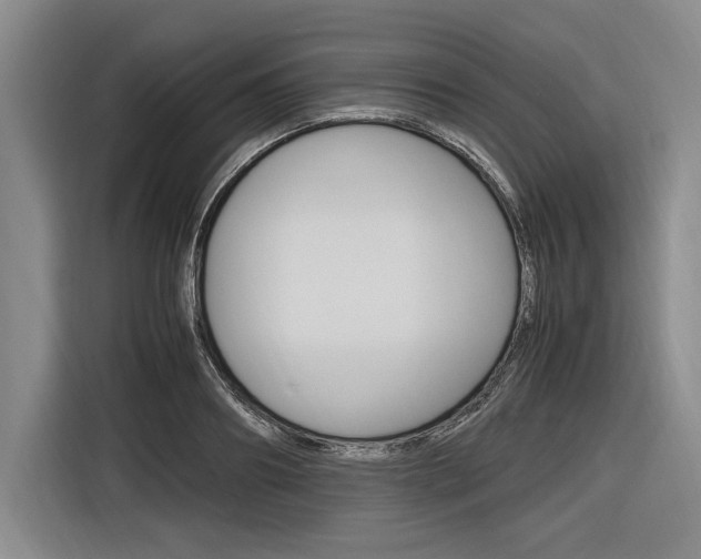 X0000116620890200912110938