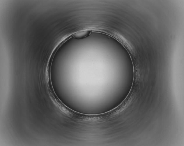 X0000116620892200912110938