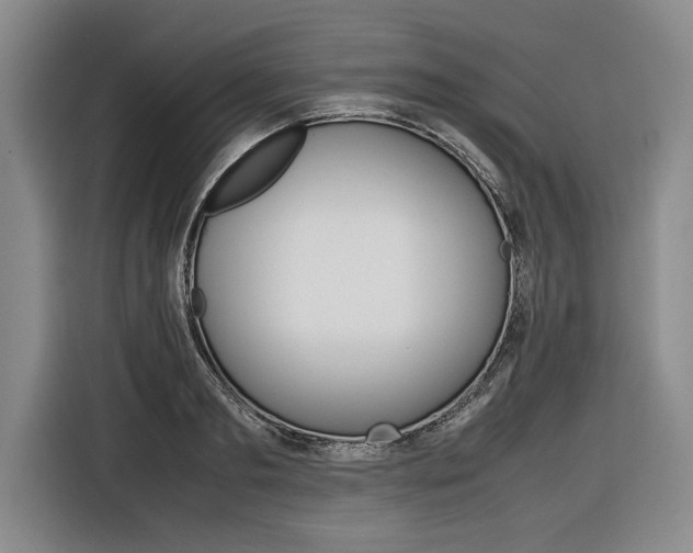X0000116620893200912110938