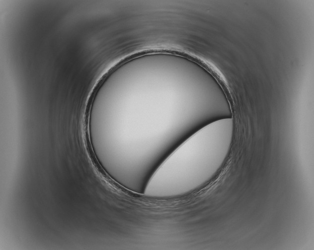 X0000116620895200912110938