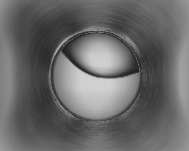 X0000116620896200912110938