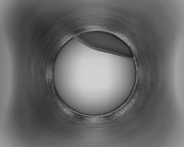 X0000116620897200912110938