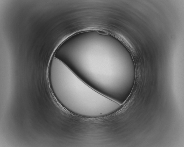 X0000116620900200912110938