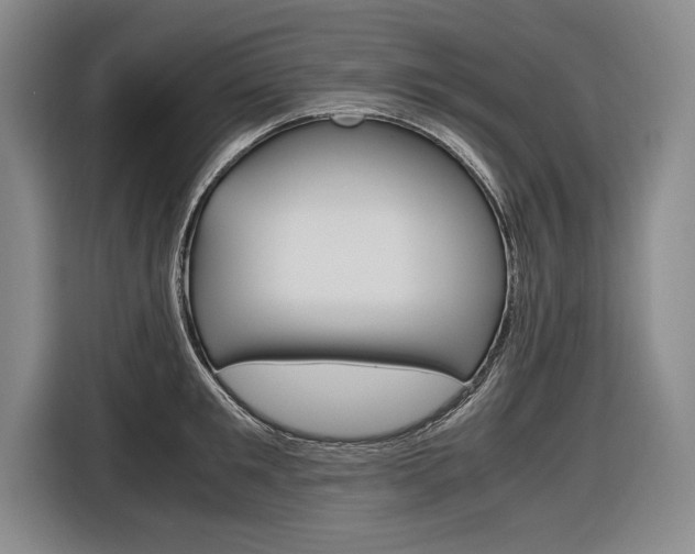 X0000116620901200912110938