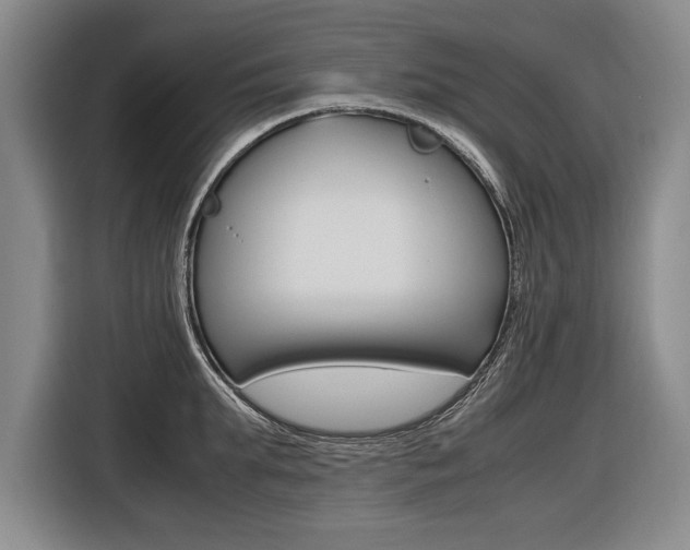 X0000116620903200912110938