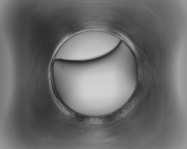 X0000116620907200912110938