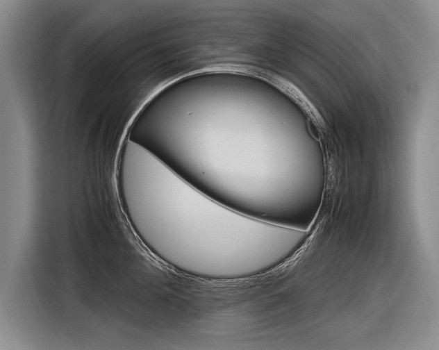 X0000116620908200912110938