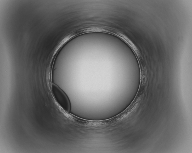 X0000116620909200912110938