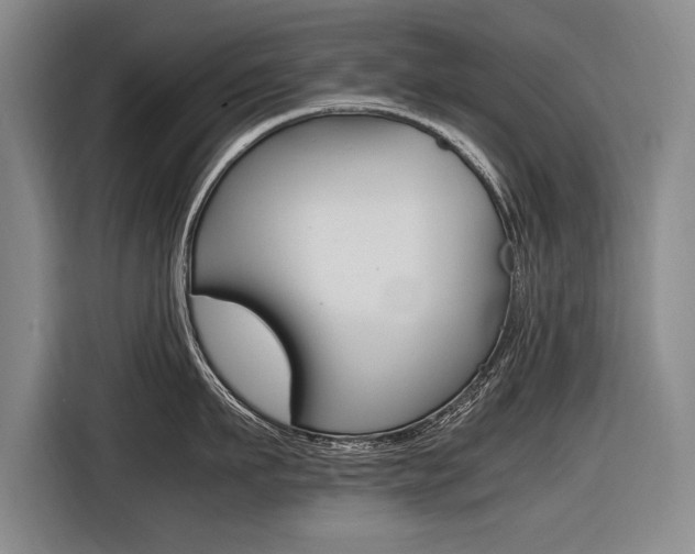 X0000116620911200912110938