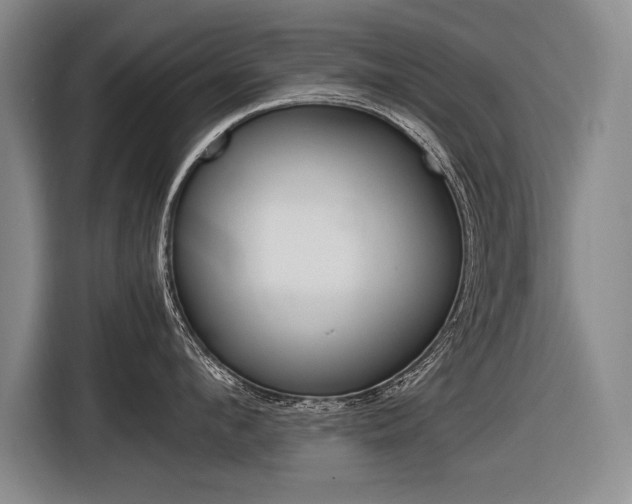 X0000116620912200912110938