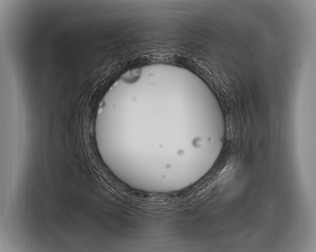 X0000116620913200912110937