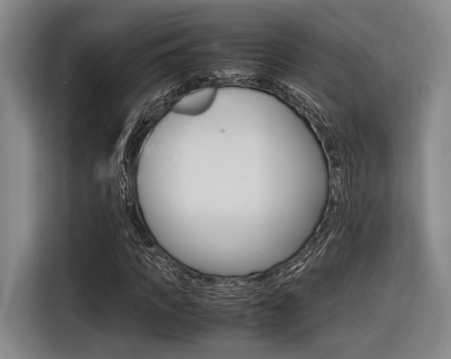 X0000116620917200912110938