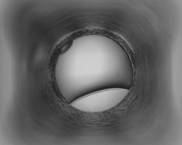 X0000116620919200912110938