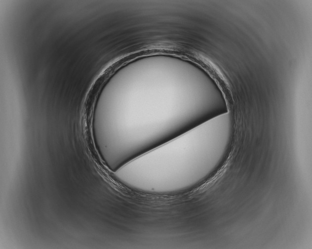 X0000116620923200912110938