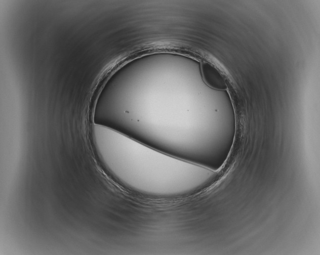 X0000116620930200912110938