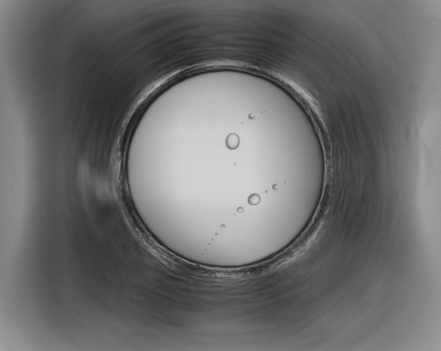 X0000116620933200912110938